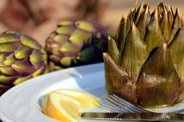 Cynara Festival