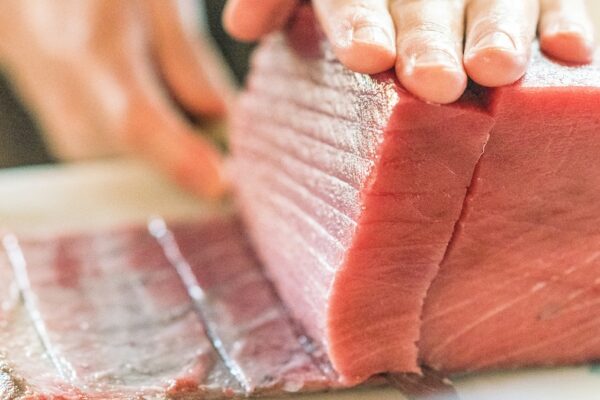 Thunnus Fest